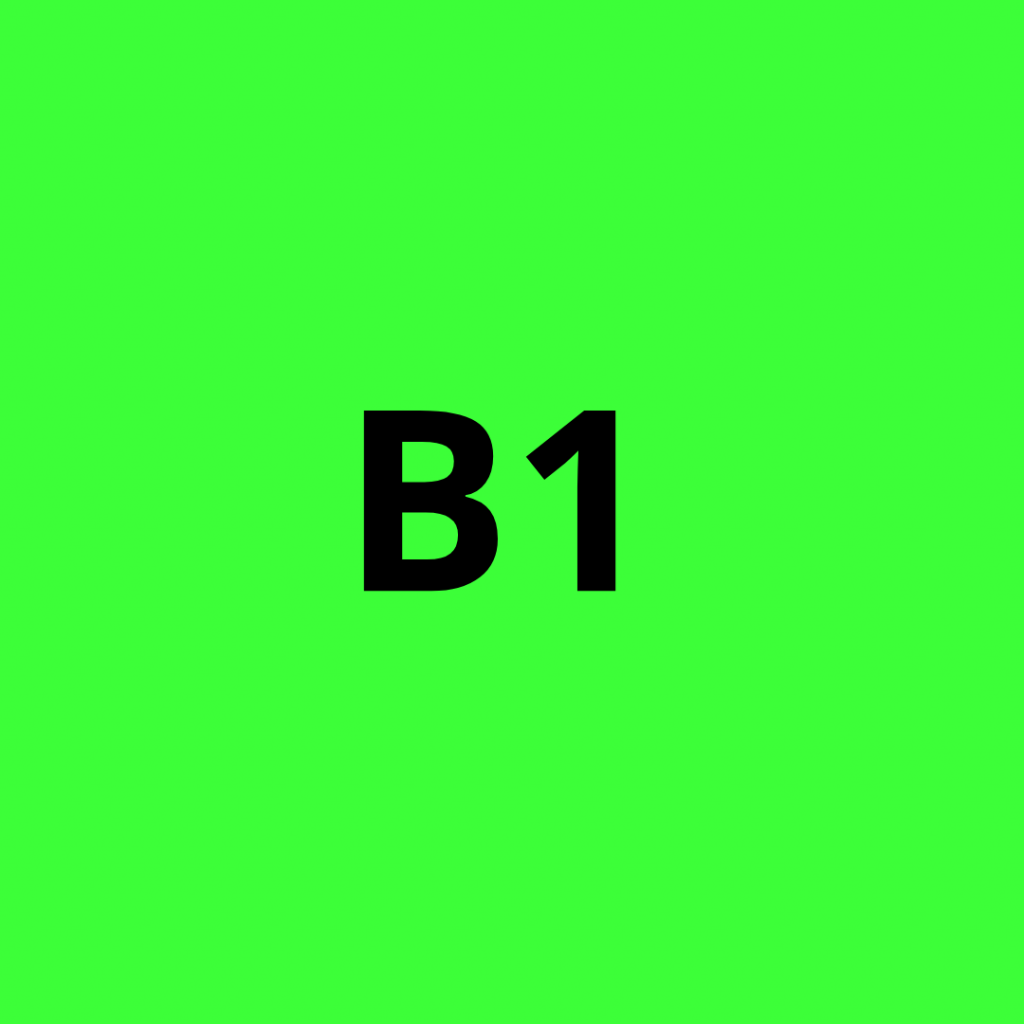 B1 ESPAÑOL TOLLSPANISH