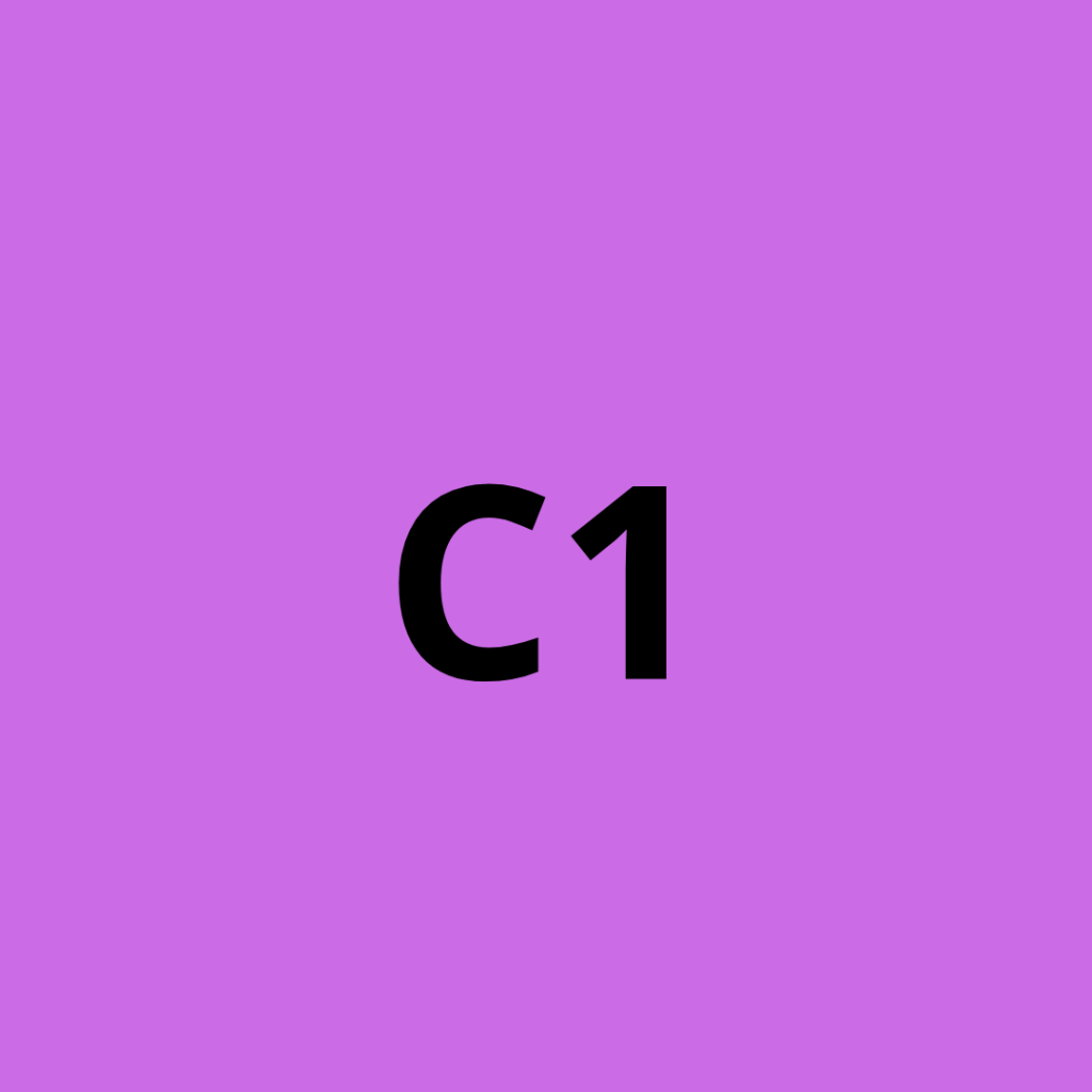 ESPAÑOL C1-NIVEL-AVANZADO- SPANISH TOLLSPANISH